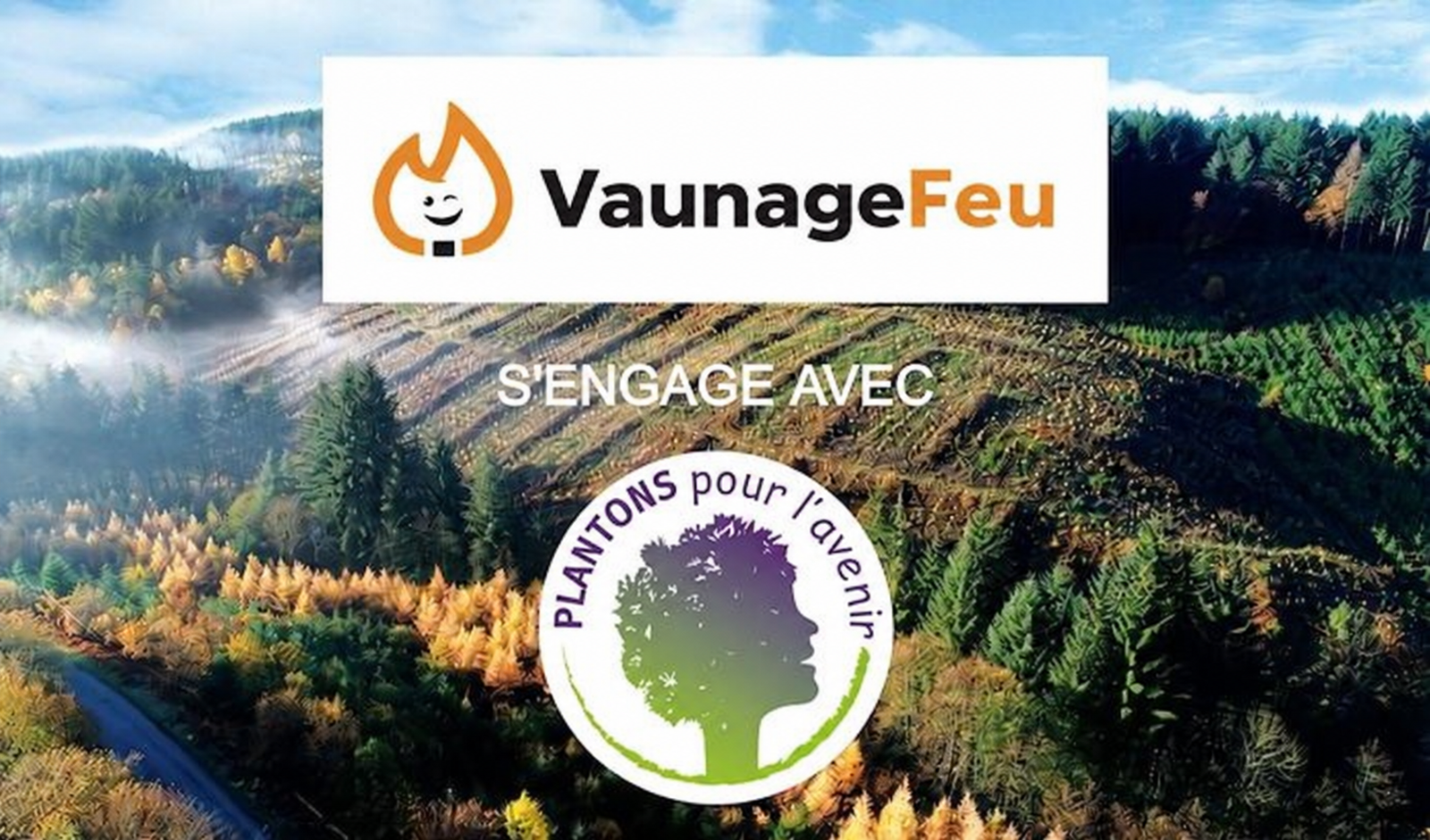 Arbre à planter – Image 2